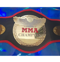 کم بند قهرمانی کد 134